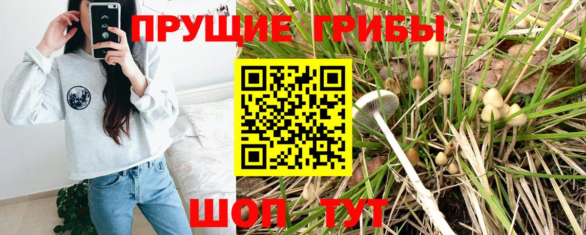 Псилоцибиновые грибы Magic Shrooms Кострома