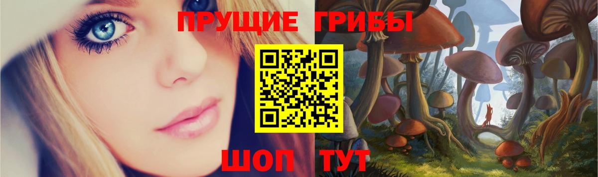 Псилоцибиновые грибы мицелий  Галлюциногенные грибы Psilocybine cubensis  Вход с VPN  Кострома 